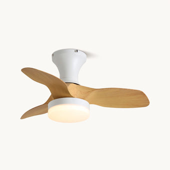 Bayfeve Ceiling Fan Light