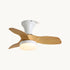 Bayfeve Ceiling Fan Light