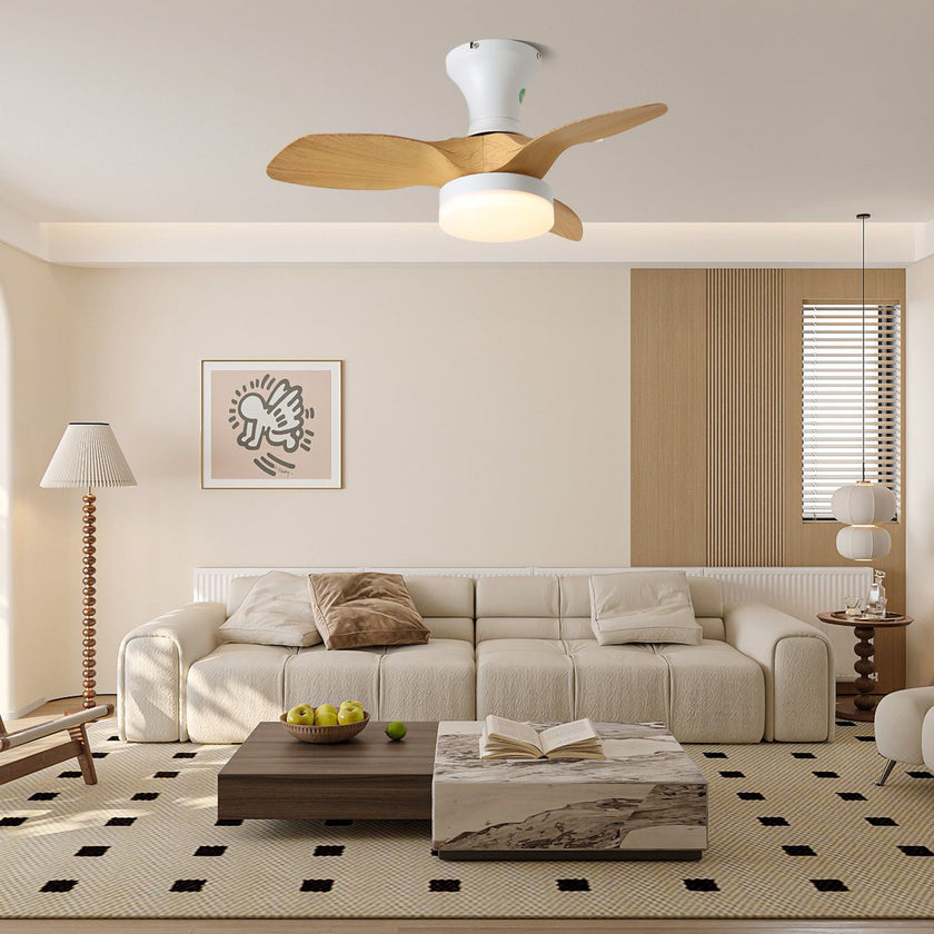 Bayfeve Ceiling Fan Light