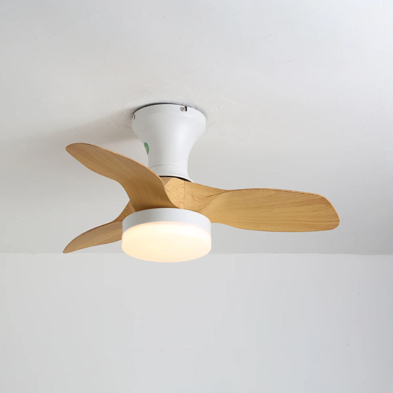 Bayfeve Ceiling Fan Light