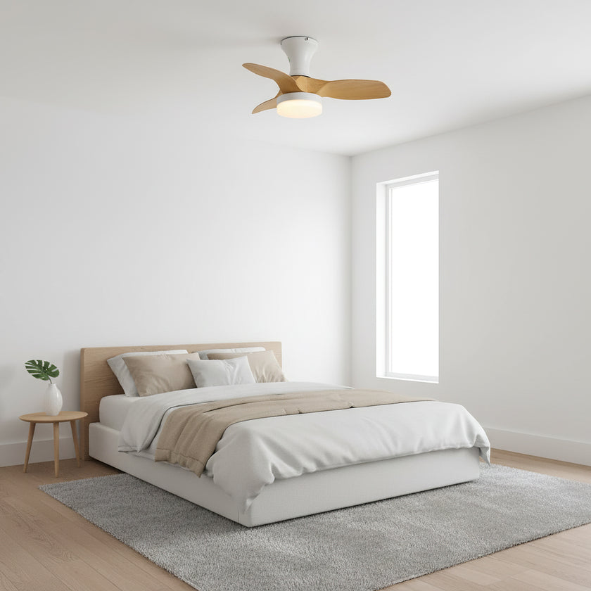 Bayfeve Ceiling Fan Light