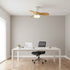 Bayfeve Ceiling Fan Light