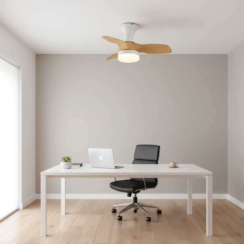 Bayfeve Ceiling Fan Light