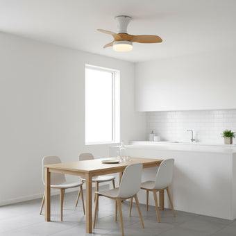 Bayfeve Ceiling Fan Light