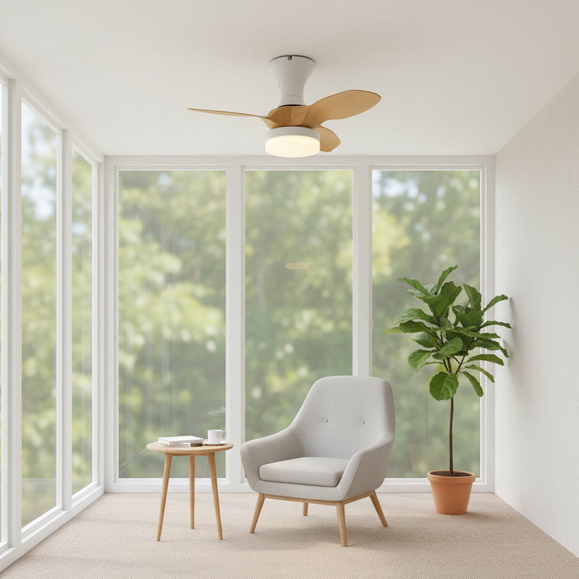 Bayfeve Ceiling Fan Light
