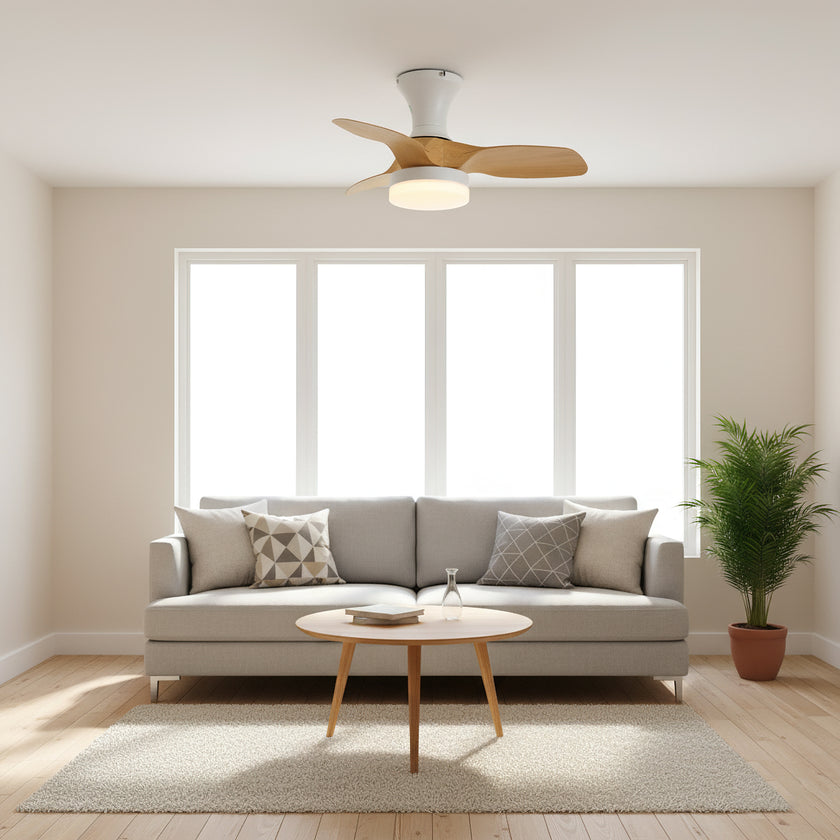 Bayfeve Ceiling Fan Light