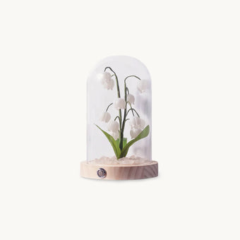 Bell Orchid Warm Night Light