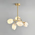 Belluno Chandelier