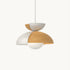 Big Bowl Big Pendant Lamp