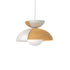 Big Bowl Big Pendant Lamp