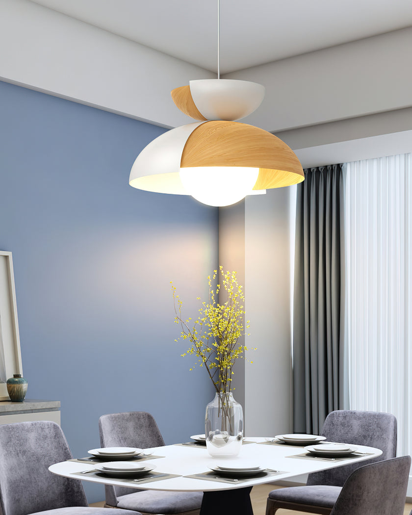 Big Bowl Big Pendant Lamp