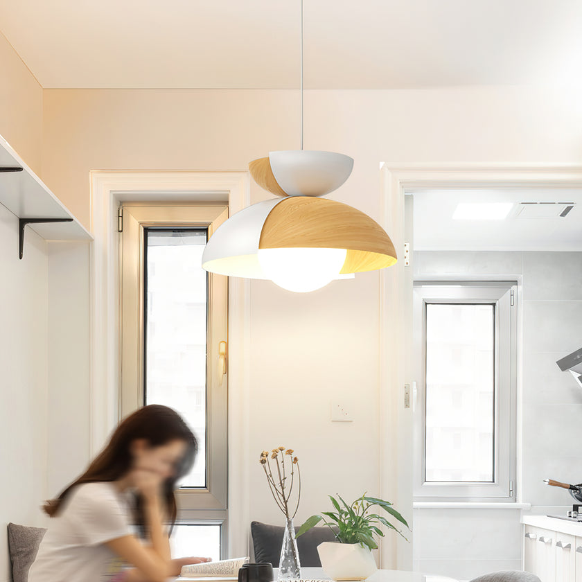 Big Bowl Big Pendant Lamp