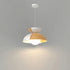 Big Bowl Big Pendant Lamp