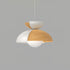 Big Bowl Big Pendant Lamp