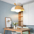 Big Bowl Big Pendant Lamp