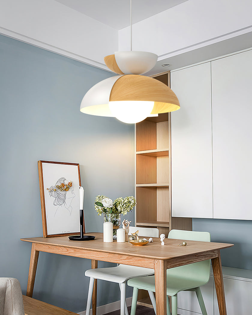 Big Bowl Big Pendant Lamp