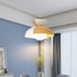 Big Bowl Big Pendant Lamp