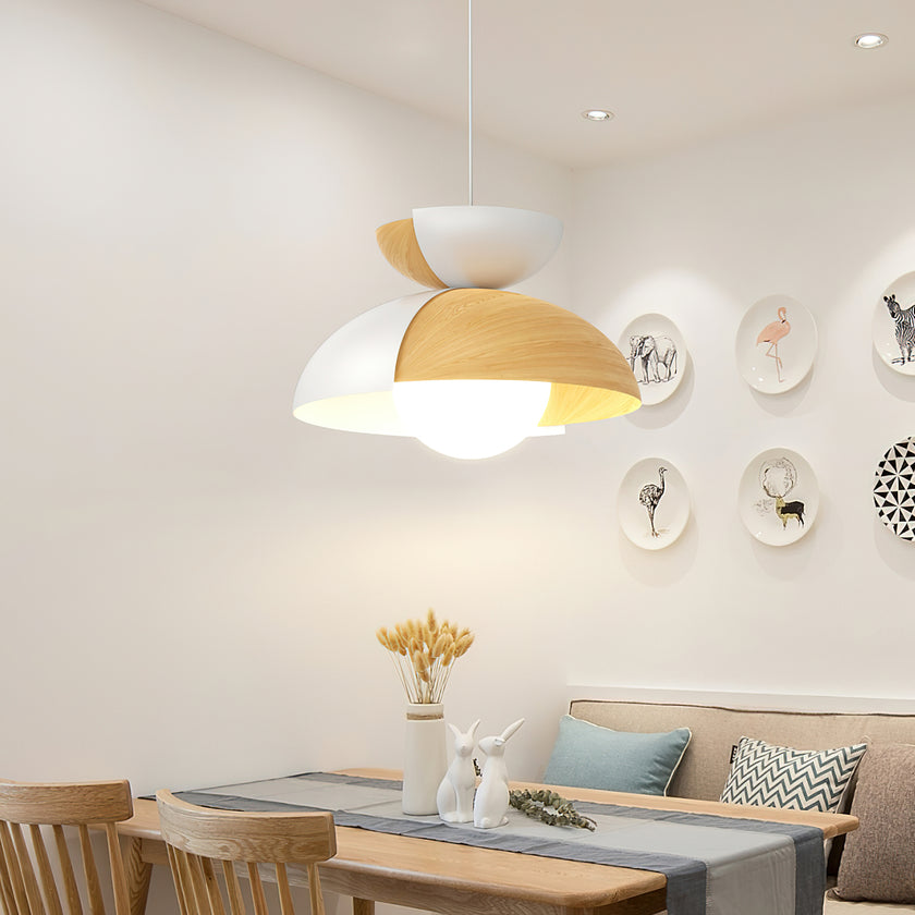 Big Bowl Big Pendant Lamp