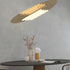 Big Disc Pendant Lamp