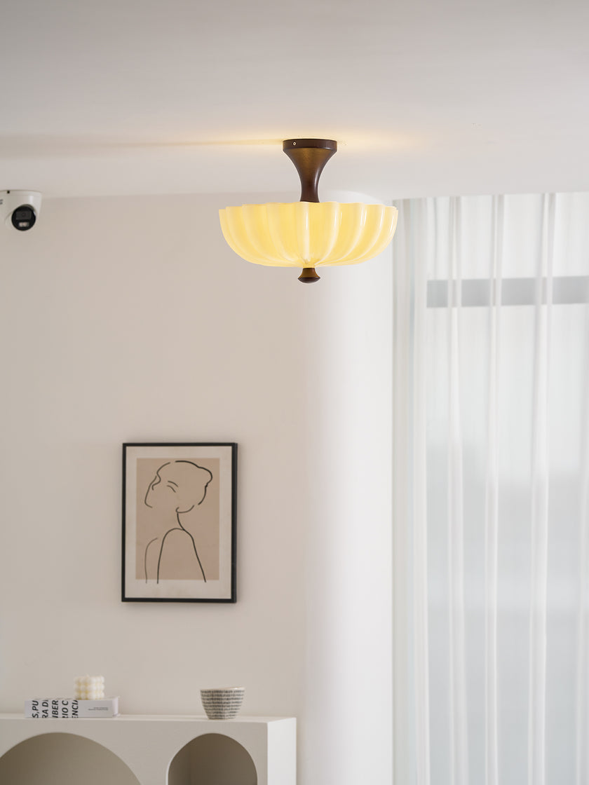 Bofia Ceiling Light