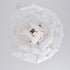 Brielle Chandelier