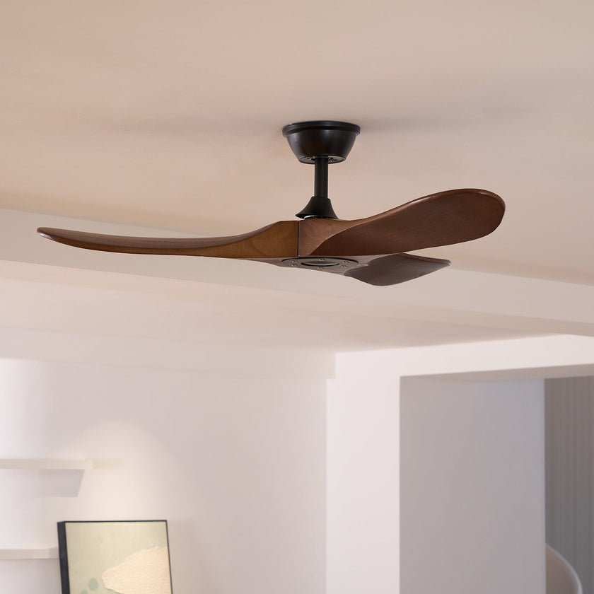 Caeden Ceiling Fan
