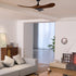 Caeden Ceiling Fan