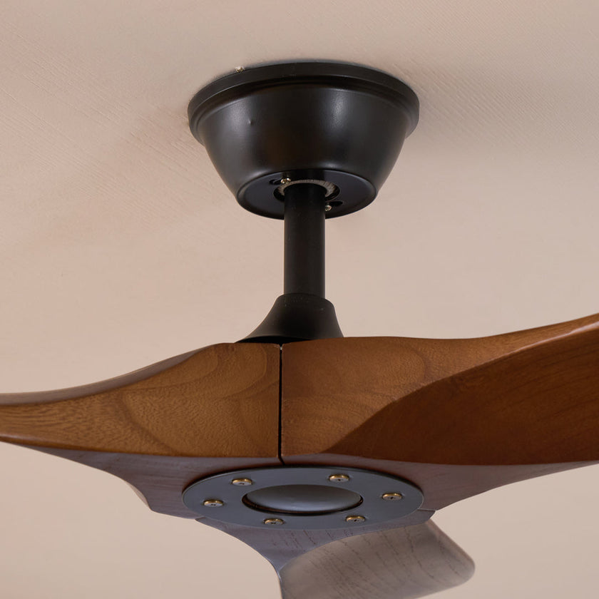 Caeden Ceiling Fan
