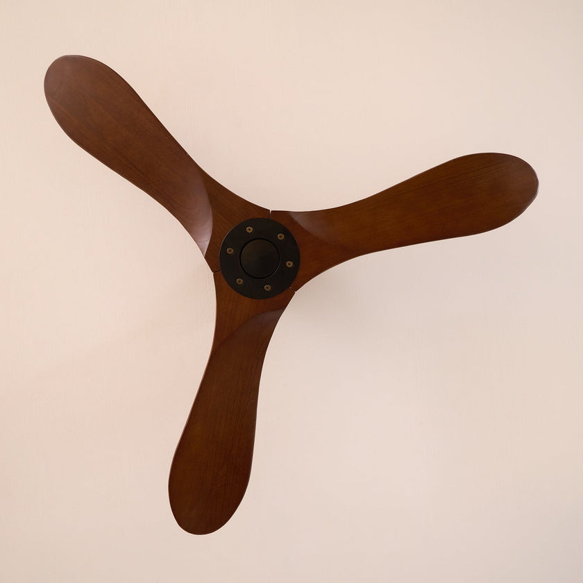 Caeden Ceiling Fan