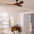 Caeden Ceiling Fan