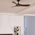 Caeden Ceiling Fan