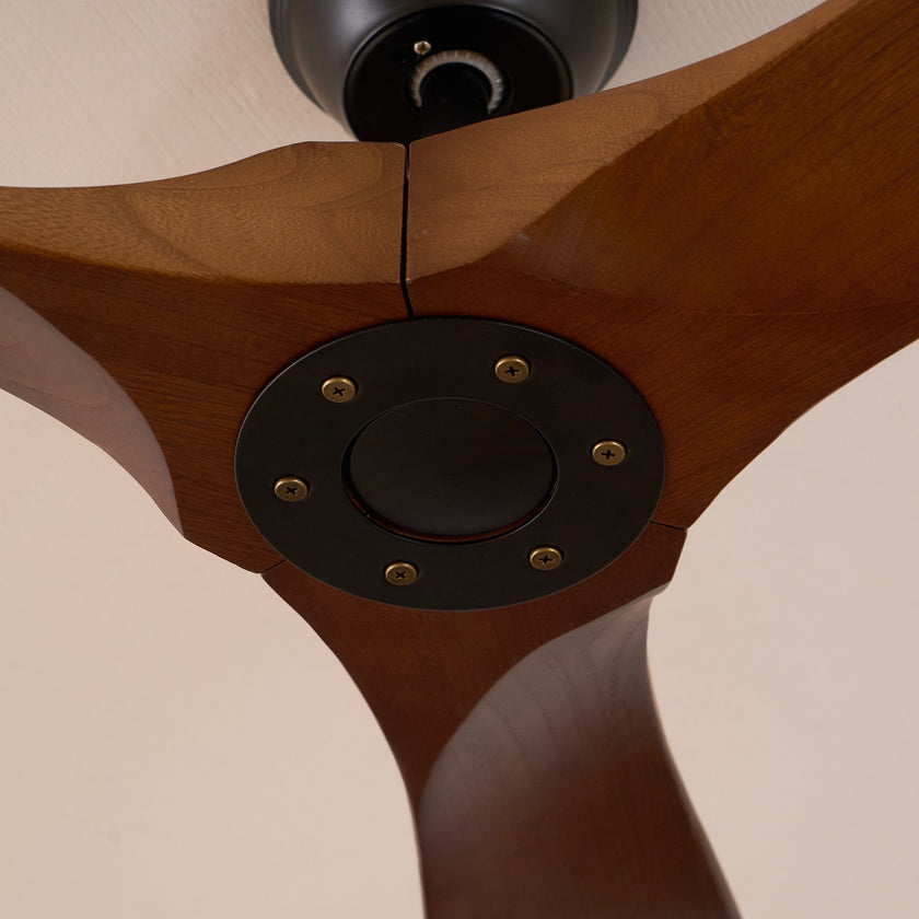Caeden Ceiling Fan