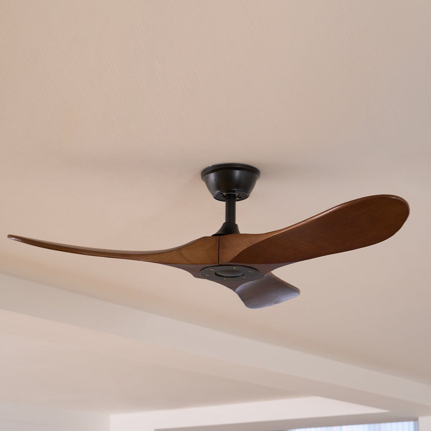 Caeden Ceiling Fan