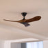 Caeden Ceiling Fan