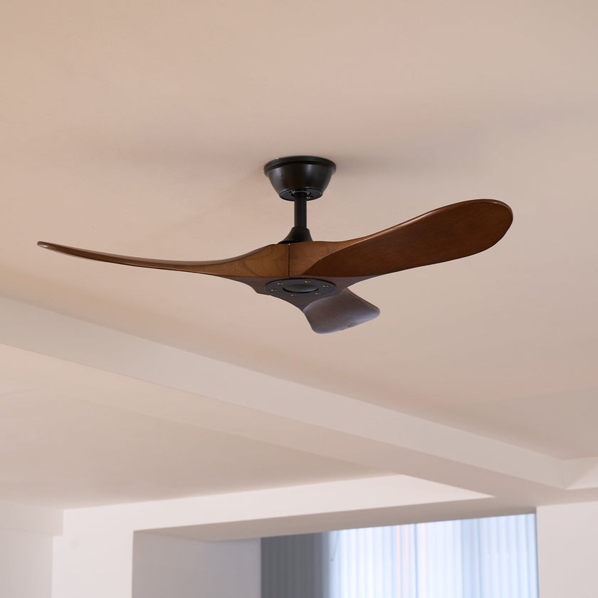 Caeden Ceiling Fan