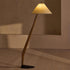 Caldas Floor Lamp