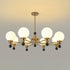 Caliora Chandelier