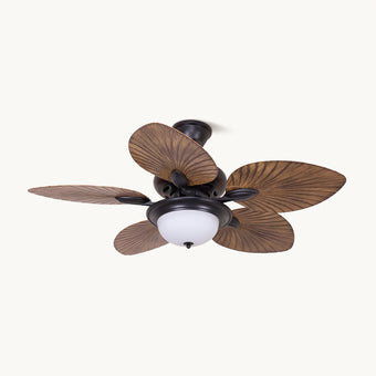 Calora Ceiling Fan Light