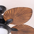 Calora Ceiling Fan Light