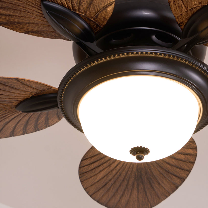 Calora Ceiling Fan Light