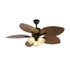 Calora Ceiling Fan Light