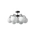 Camdyn Ceiling Light