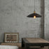 Canopy Pendant Light