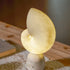 Conch Alabaster Table Lamp