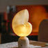 Conch Alabaster Table Lamp