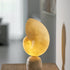 Conch Alabaster Table Lamp