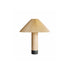 Daniella Table Lamp