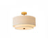 Delaney Ceiling Light
