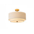 Delaney Ceiling Light