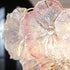 Depuley Ceiling Light